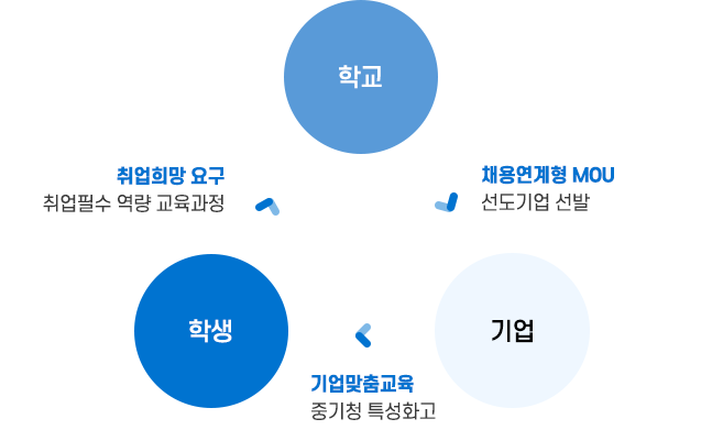 취업맞춤반사진